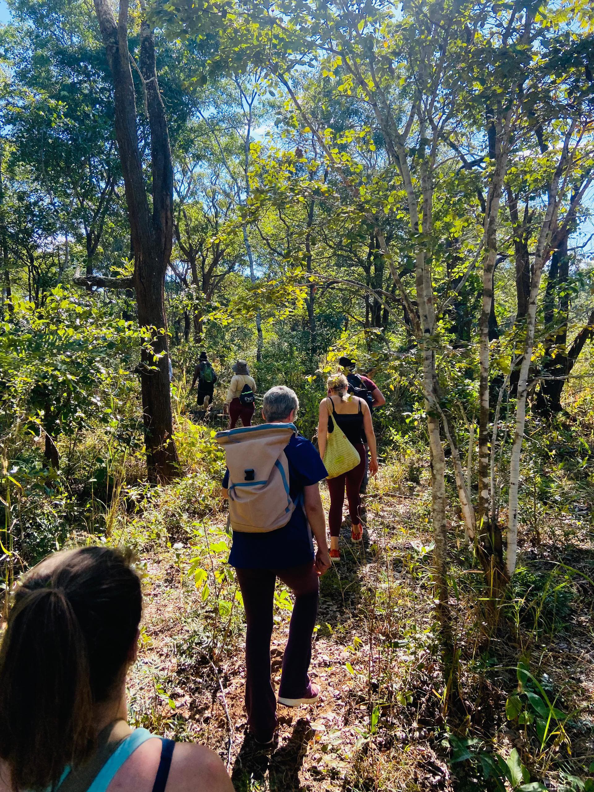 People on a guided bush walk